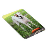 Boxer Magnet (Rechte Seite)