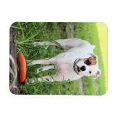 Boxer Magnet (Horizontal)