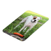 Boxer Magnet (Linke Seite)