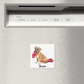Boxer Magnet (In Situ (Geschirrspüler))