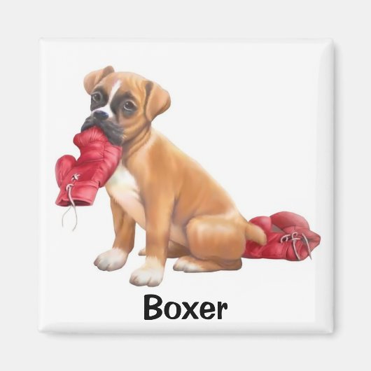 Boxer Magnet (Vorne)