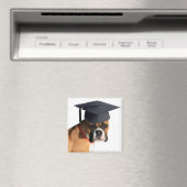 Boxer-Magnet Magnet (In Situ (Geschirrspüler))