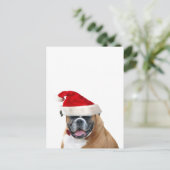 Boxer mit Weihnachtsmannmütze Feiertagspostkarte (Stehend Vorderseite)