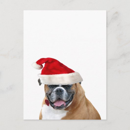 Boxer mit Weihnachtsmannmütze Feiertagspostkarte (Vorderseite)