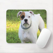 Boxer Mousepad (Mit Mouse)