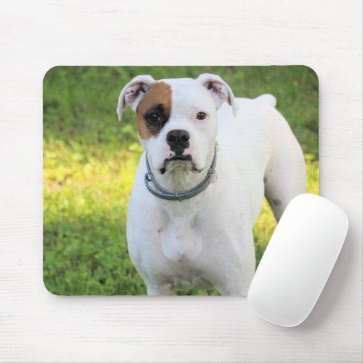 Boxer Mousepad (Mit Mouse)