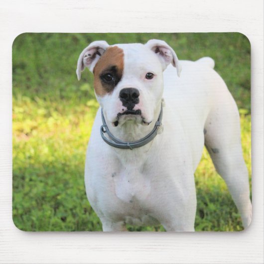 Boxer Mousepad (Vorne)