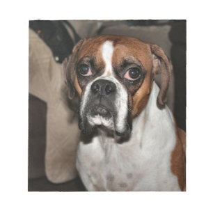 Boxer Notizblock