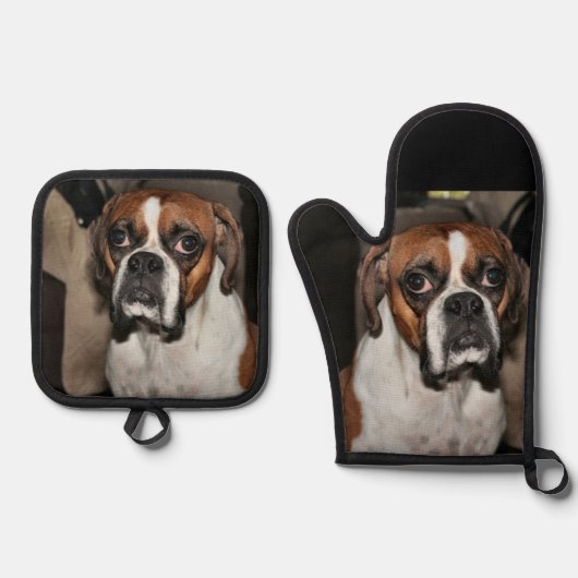 Boxer Ofenhandschuh & Topflappen-Set (Vorderseite)
