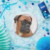 Boxer Pappteller (Party)