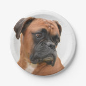 Boxer Pappteller (Vorderseite)