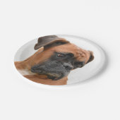 Boxer Pappteller (Schrägansicht)