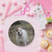 Boxer Pappteller (Party)