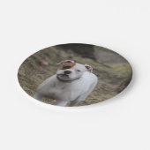 Boxer Pappteller (Schrägansicht)