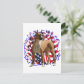 Boxer Patriot Postkarte (Stehend Vorderseite)