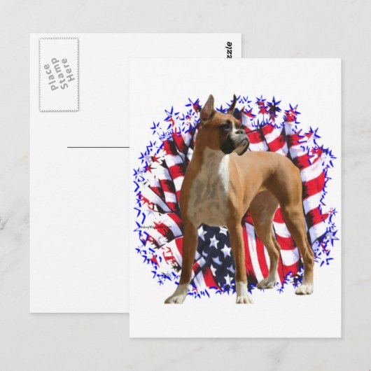 Boxer Patriot Postkarte (Vorne/Hinten)