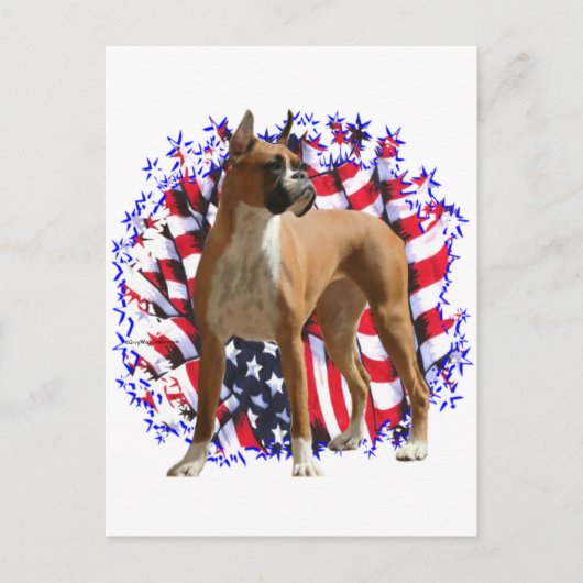 Boxer Patriot Postkarte (Vorderseite)