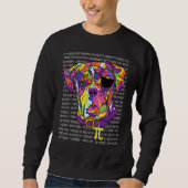 Boxer Pirate Costume Pi Day Math Teachers Sweatshirt (Vorderseite)