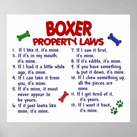 BOXER PL2 POSTER (Vorne)