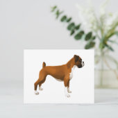 Boxer Postkarte (Stehend Vorderseite)