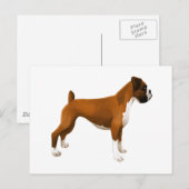 Boxer Postkarte (Vorne/Hinten)
