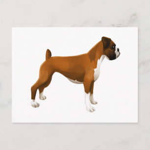 Boxer Postkarte