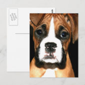 Boxer-Postkarte Postkarte (Vorne/Hinten)