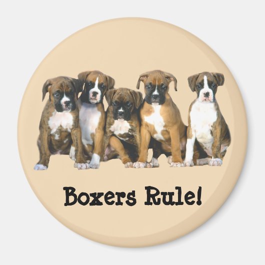 Boxer Puppies Magnet (Vorne)