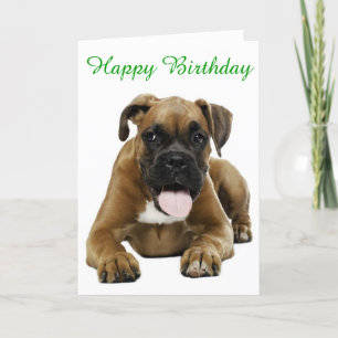 Boxer Puppy Dog Happy Birthday Card - Verse Karte