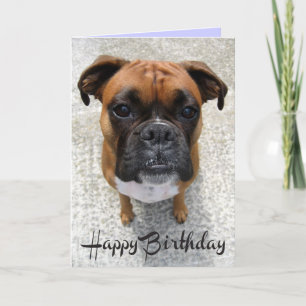 Boxer Puppy Dog Happy Birthday Card - Verse Karte