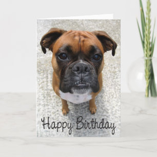 Boxer Puppy Dog Happy Birthday Card - Verse Karte