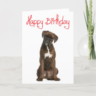 Boxer Puppy Dog Happy Birthday Card - Verse Karte