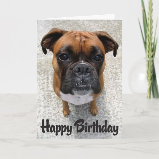 Boxer Puppy Dog Happy Birthday Card - Verse Karte (Vorderseite)