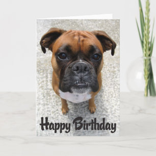 Boxer Puppy Dog Happy Birthday Card - Verse Karte