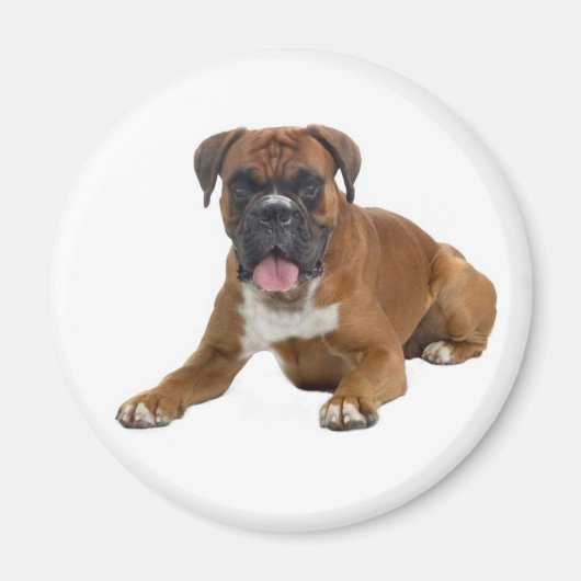 Boxer Puppy Dog Kühlschrankmagnet (Vorne)