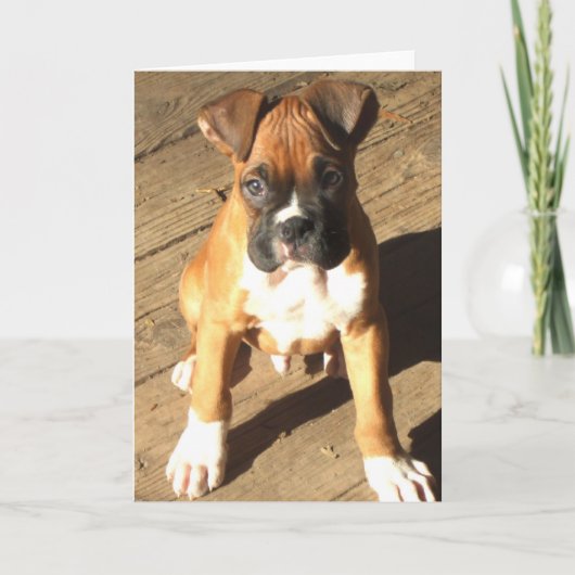 Boxer Puppy Grußkarte Karte (Vorderseite)