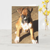 Boxer Puppy Grußkarte Karte (Gelbe Blume)