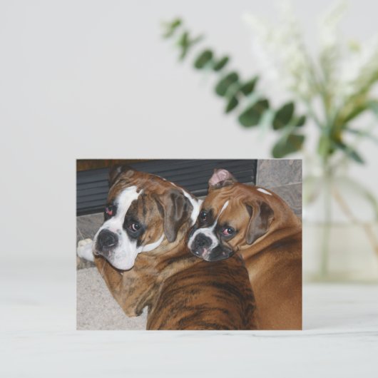 Boxer Puppy Postcard Postkarte (Stehend Vorderseite)