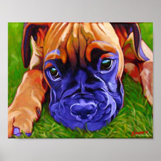 Boxer Puppy Poster (Vorne)