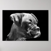 Boxer Puppy Poster (Vorne)