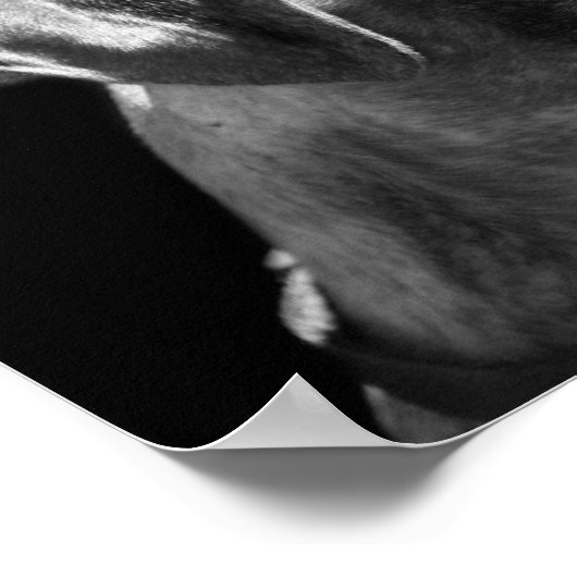 Boxer Puppy Poster (Ecke)