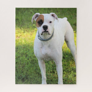 Boxer Puzzle