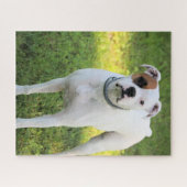Boxer Puzzle (Horizontal)