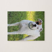 Boxer Puzzle (Horizontal)