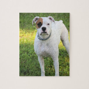 Boxer Puzzle