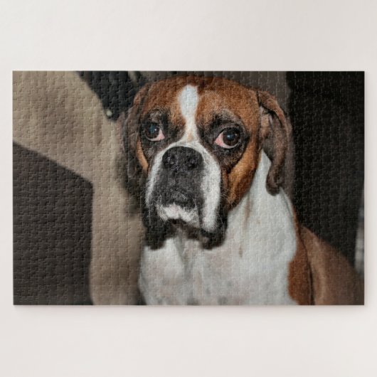 Boxer Puzzle (Horizontal)