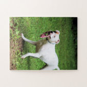 Boxer Puzzle (Horizontal)