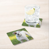 Boxer Rechteckiger Pappuntersetzer (Vor Ort)