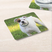 Boxer Rechteckiger Pappuntersetzer (angewinkelt)