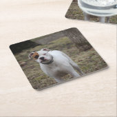 Boxer Rechteckiger Pappuntersetzer (angewinkelt)